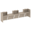 Дуб Аттик