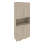 Дуб Аттик