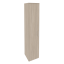 Дуб Аттик